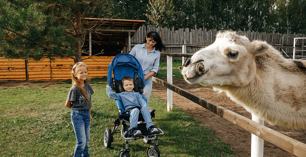 ДЦП по наследству
